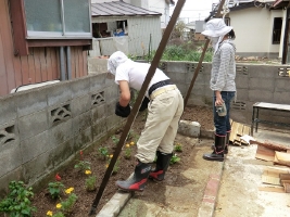 9. 「いしのまき環境ネット」さんが庭に花を植えてくださいました。ゴーヤのグリーンカーテンもすくすくと成長しています。