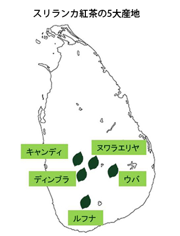 スリランカ紅茶の5大産地