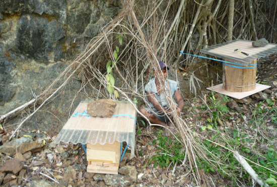 ルスラウ集落にて。近くに自然巣があり、ブンコと重箱式巣箱を1基 ずつ設置。