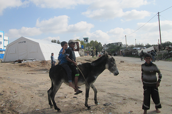 gaza20141212_a