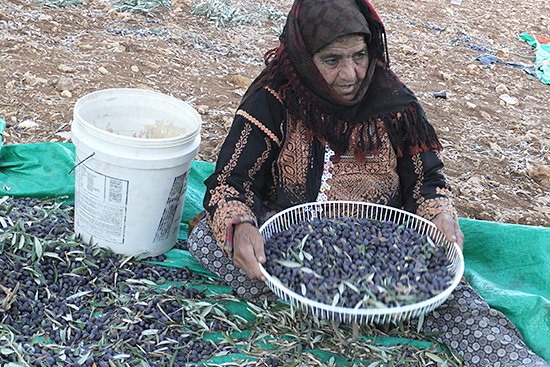 ramallah20141204_i