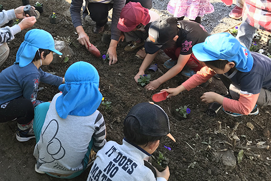 保育所の子どもたちとパンジーの植え付け